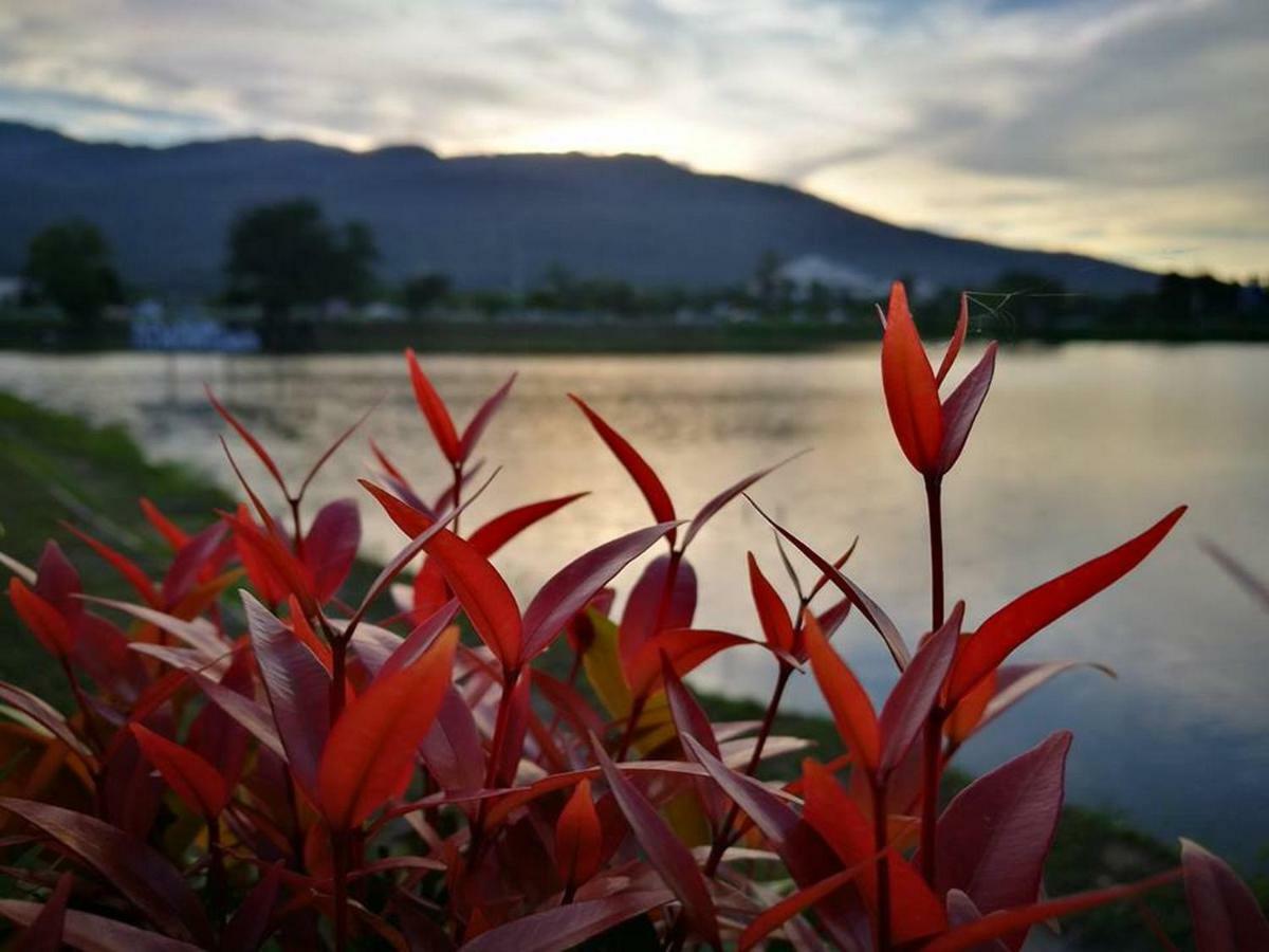 Green Lake Resort - Sha Extra Plus Certified Chiang Mai Dış mekan fotoğraf